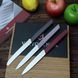 Victorinox Swiss Modern Paring Set &mdash; набір кухонних ножів (3 шт.) 69096.3Л2 фото 3