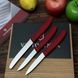 Кухонний набір Victorinox Swiss Classic Paring Set 6.7111.3 фото 3