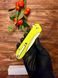 Складний Ніж Skif Freestyler SW, lime green🍋 Лайм фото 2